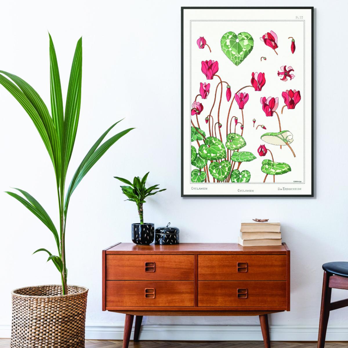 Cyclamen From La Plante Print By Maurice Pillard Verneuil A4 210 X 297Mm Stanley Print House – image 3