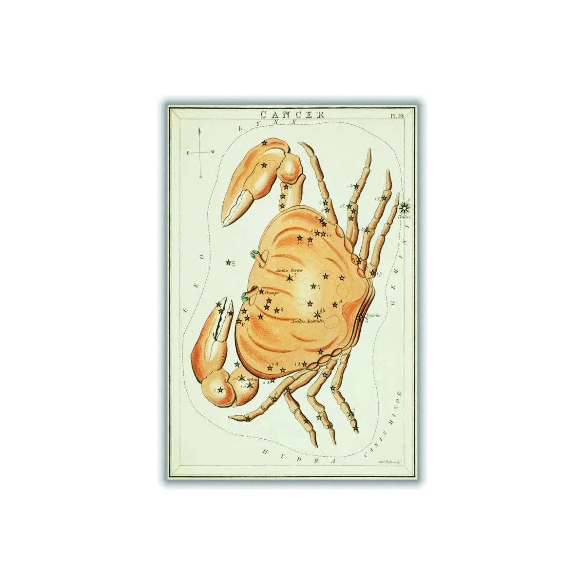 Yellow / Orange Astronomical Chart Illustration Of The Zodiac Cancer Small Stanley Print House – image 1