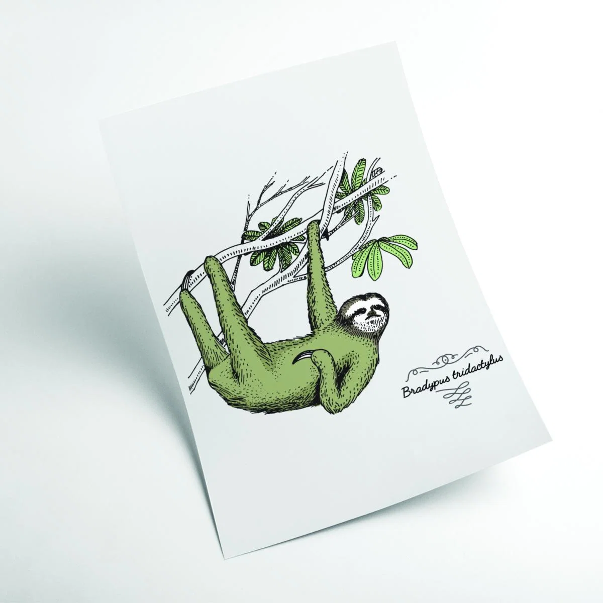 Green Sloth A3 297 X 420Mm Stanley Print House – image 2
