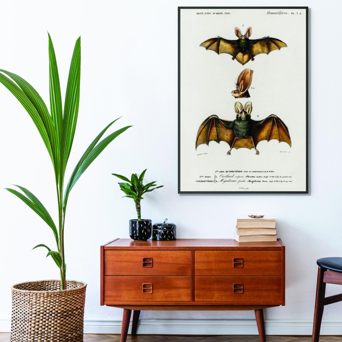 Gold Plecotus A2 420 X 594Mm Stanley Print House – image 3