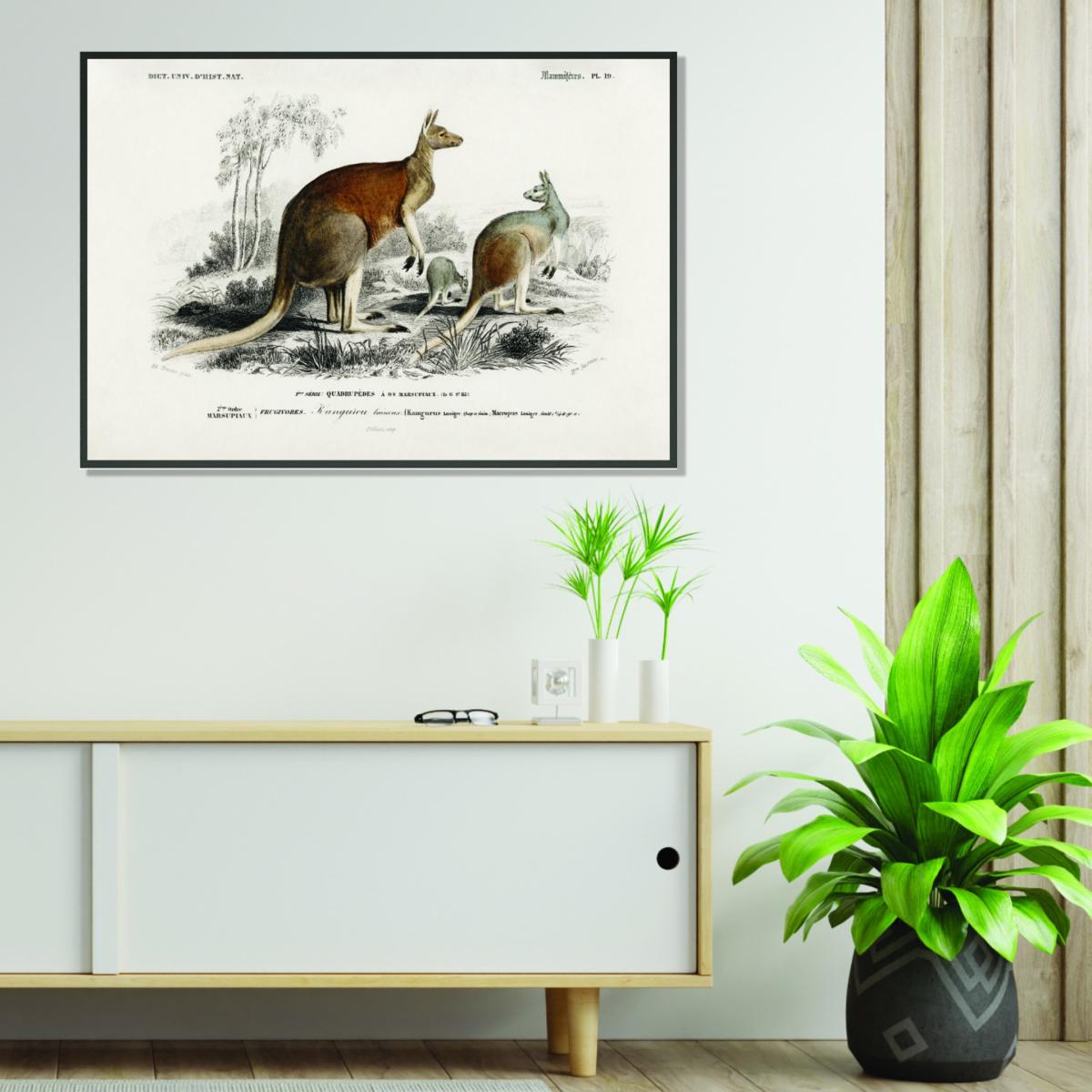 The Red Kangaroo - Brown A4 210 X 297Mm Stanley Print House – image 3