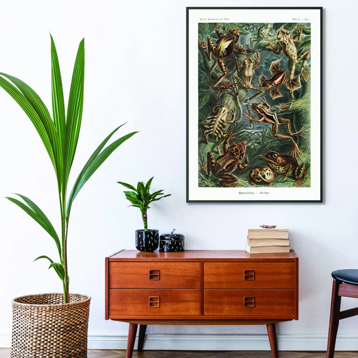 Gold Batrachia-Frösche By Ernst Haeckel Extra Small Stanley Print House – image 3