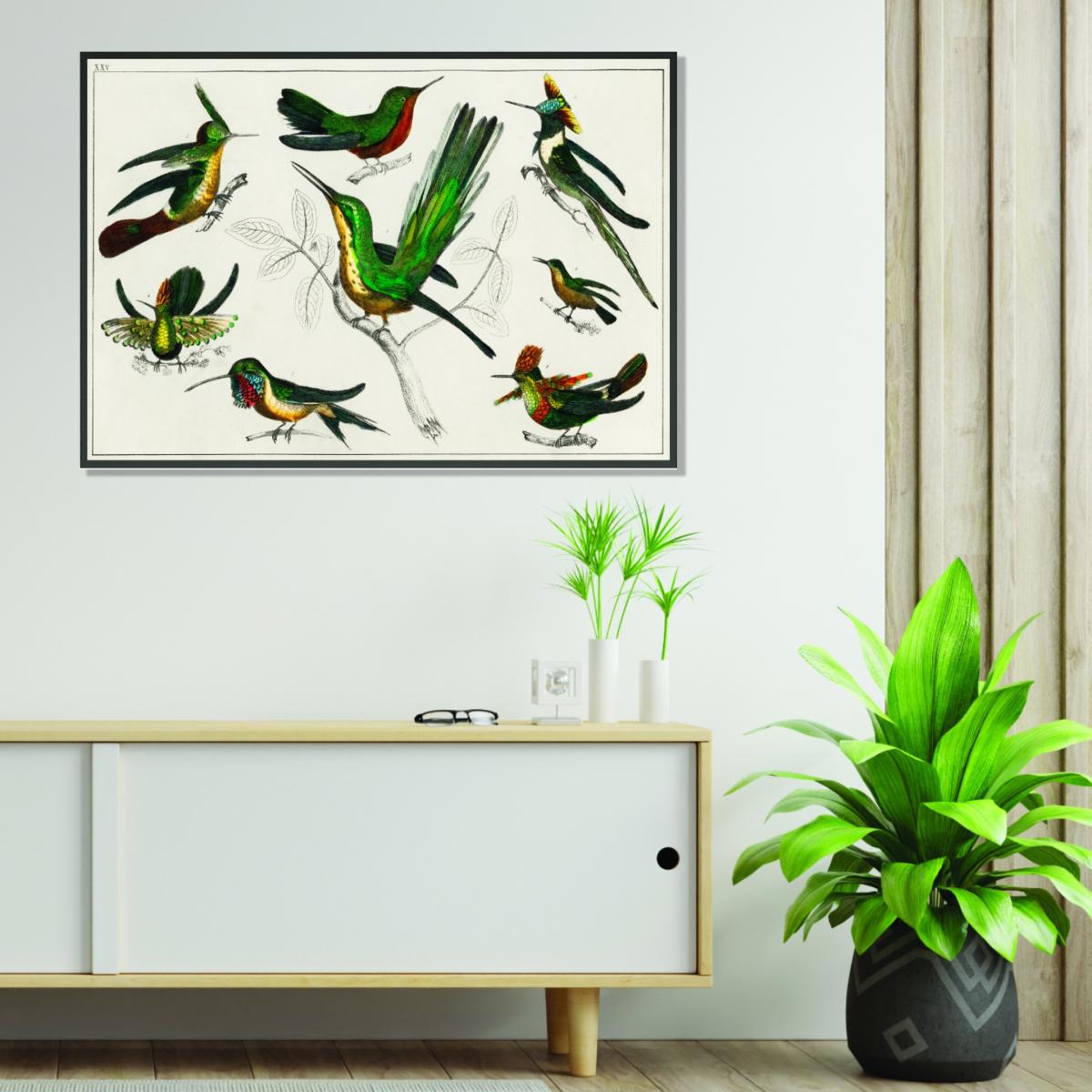 Collection Of Birds Xxs Stanley Print House – image 3