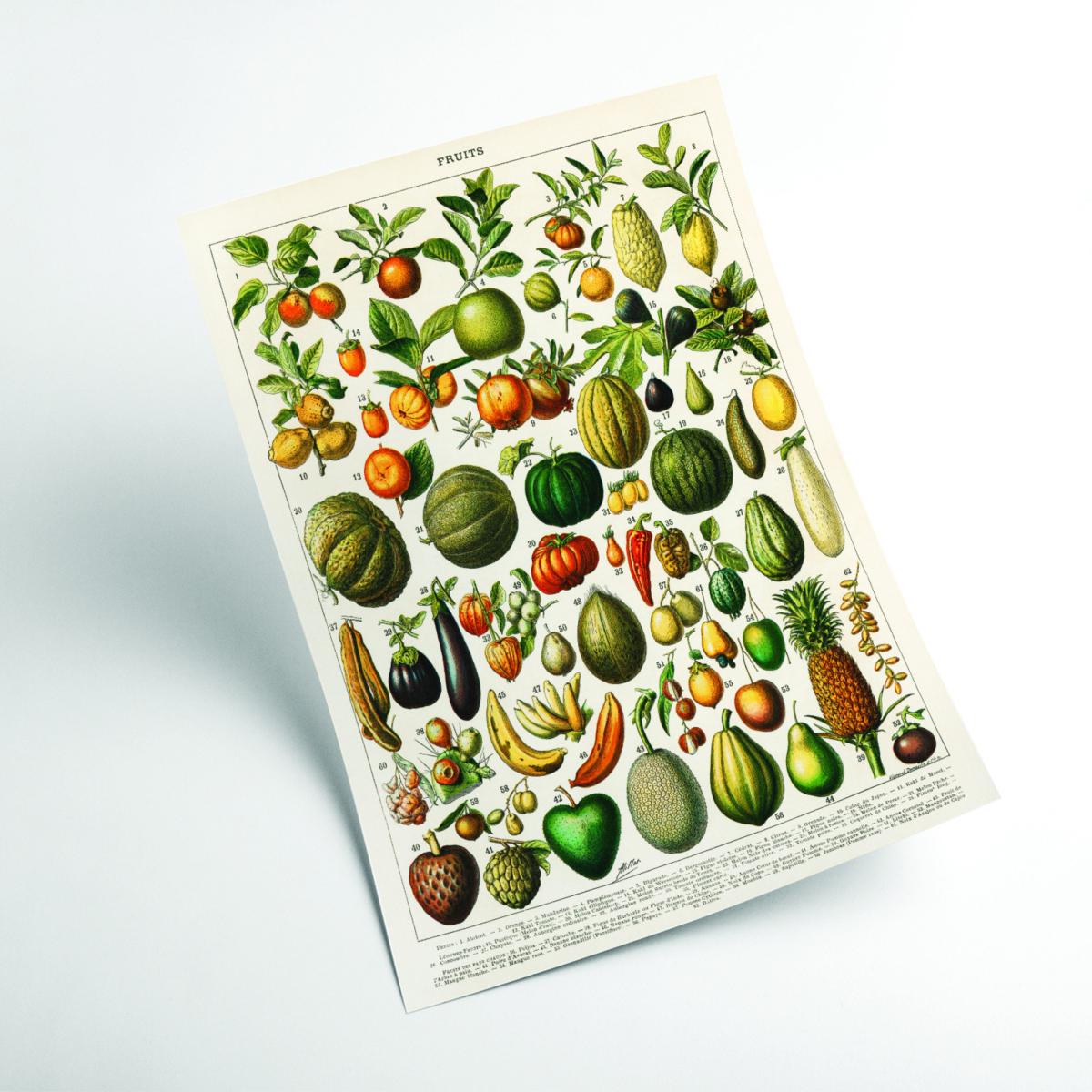 Fruits And Vegetables A3 297 X 420Mm Stanley Print House – image 2