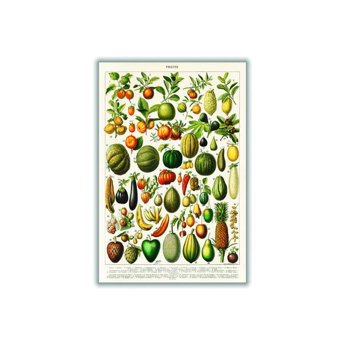 Fruits And Vegetables A3 297 X 420Mm Stanley Print House – image 1