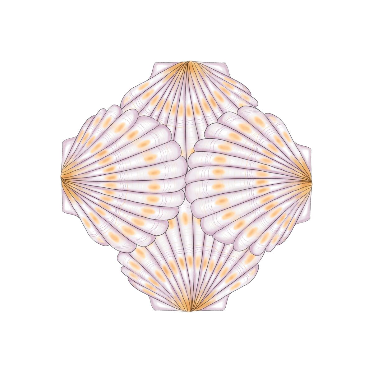 The Jewel Print Volsew Paris – image 1