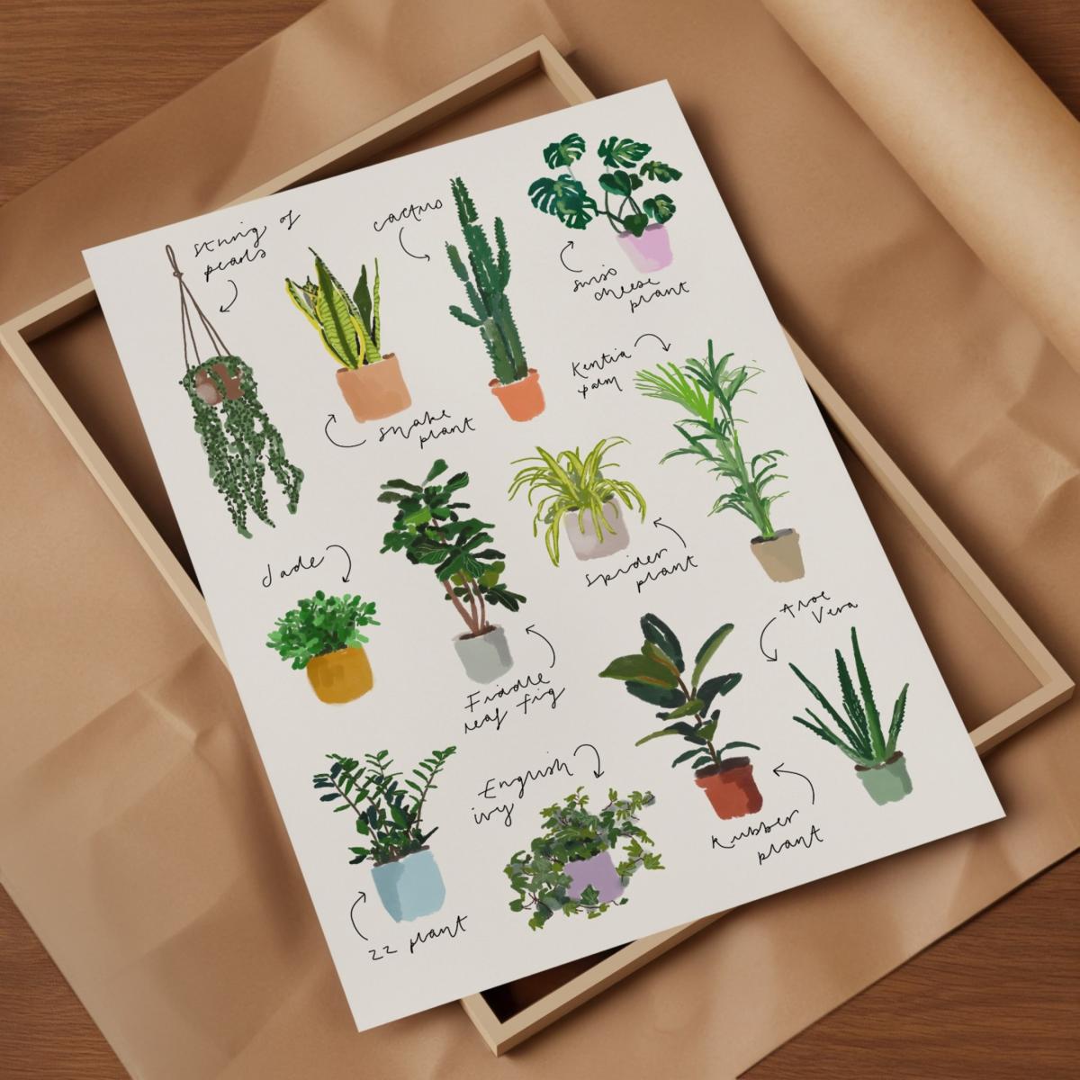 Plant Hand Painted Art Print - A3 Natalie Cass Art – image 3