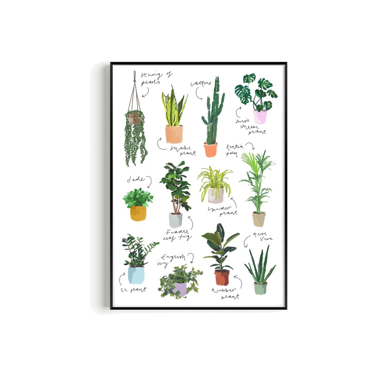 Plant Hand Painted Art Print - A3 Natalie Cass Art – image 1