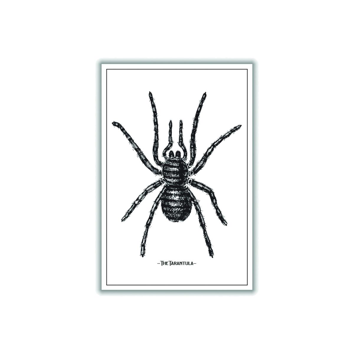 Black The Tarantula Small Stanley Print House – image 1