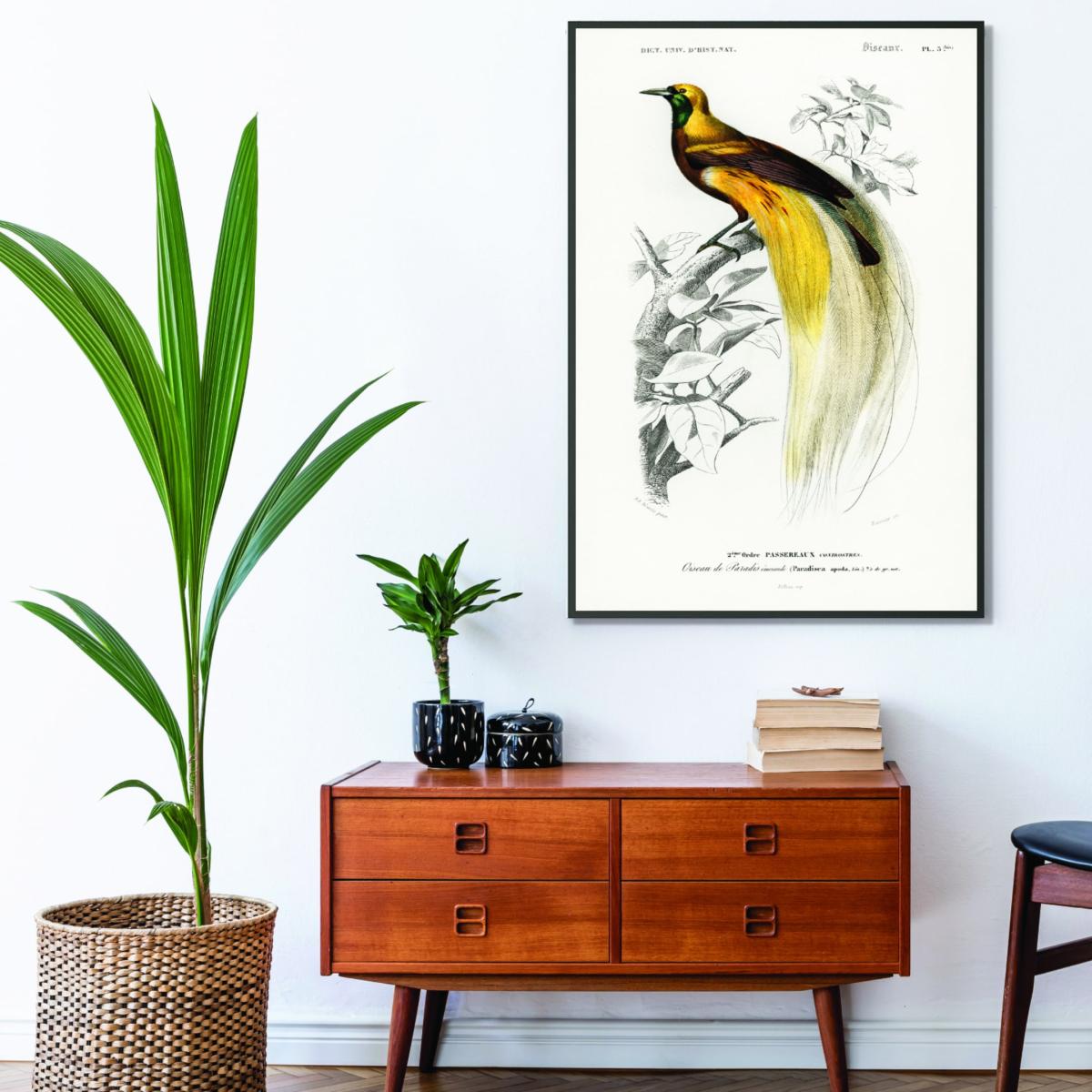 Yellow / Orange Paradisaea Apoda Extra Small Stanley Print House – image 3