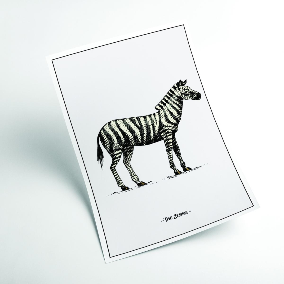 Black The Zebra A1 594 X 841Mm Stanley Print House – image 2