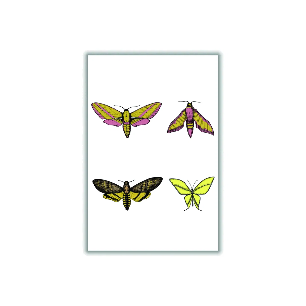 Vintage Moths Extra Large Stanley Print House – image 1