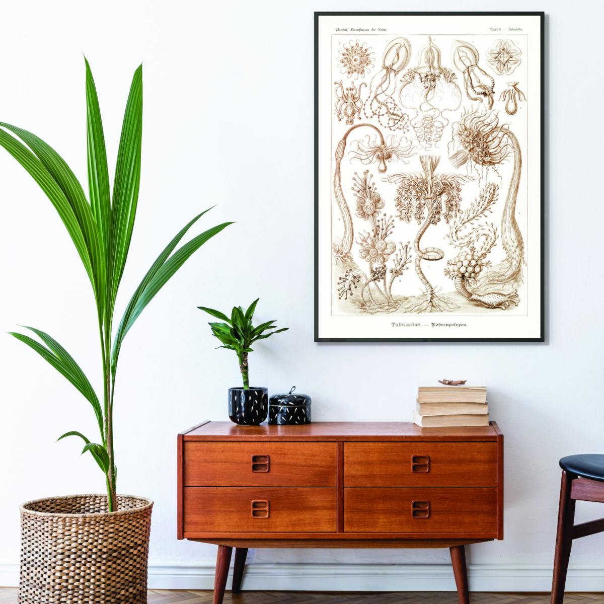 Rose Gold Diatomea-Schachtellinge I By Ernst Haeckel A1 594 X 841Mm Stanley Print House – image 3