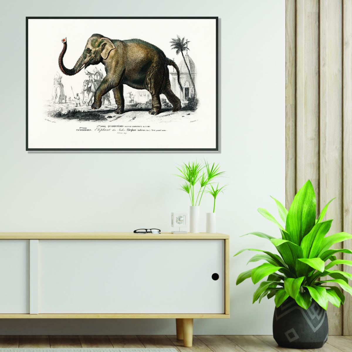 Brown Asiatic Elephant A1 594 X 841Mm Stanley Print House – image 3