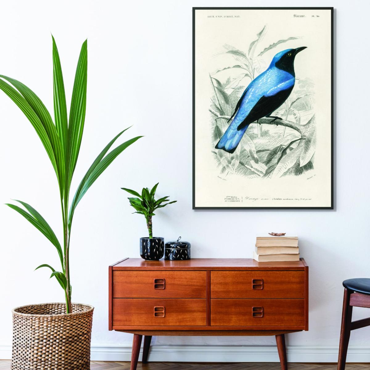 Blue Square-Tailed Drongo Large Stanley Print House – image 3