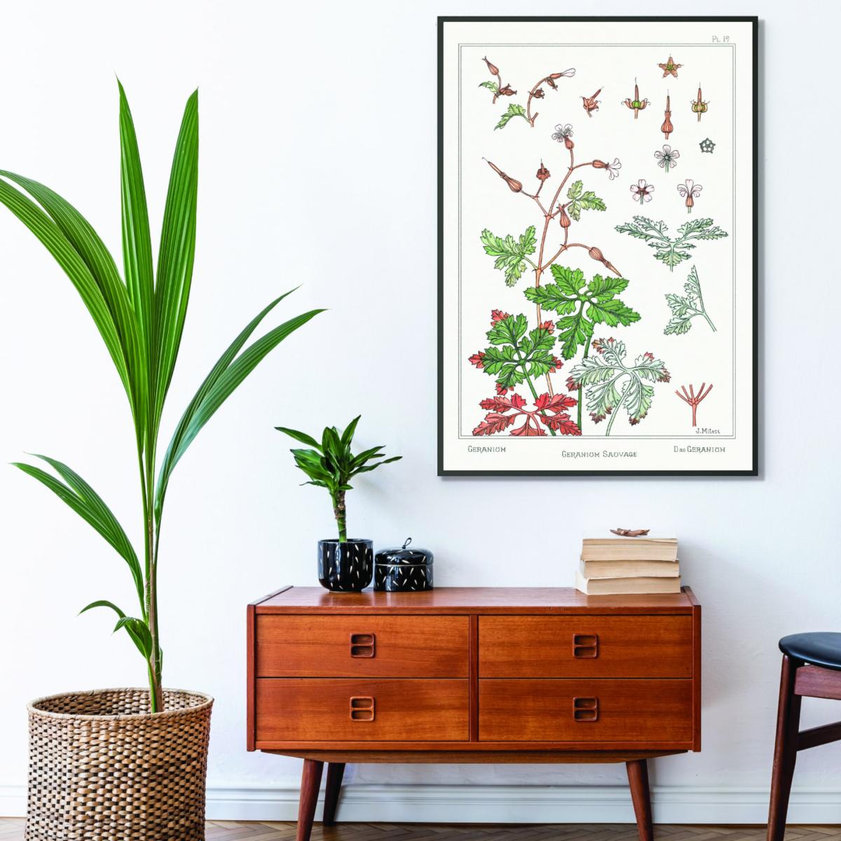 Geranium Sauvage Print By Maurice Pillard Verneuil A2 420 X 594Mm Stanley Print House – image 3
