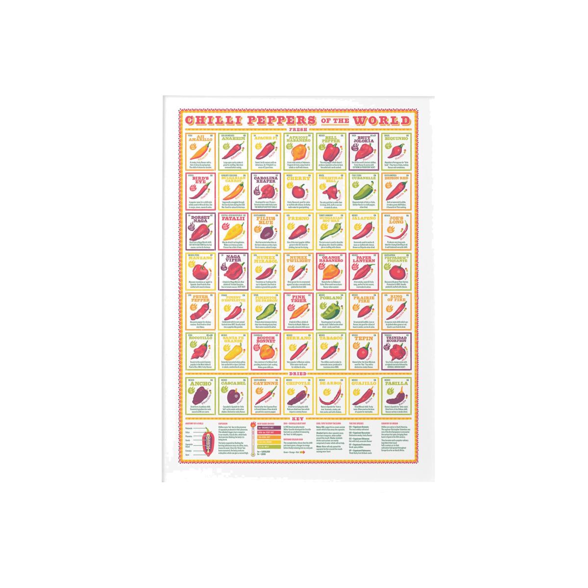 Chilli Peppers Of The World Print Stuart Gardiner Design
