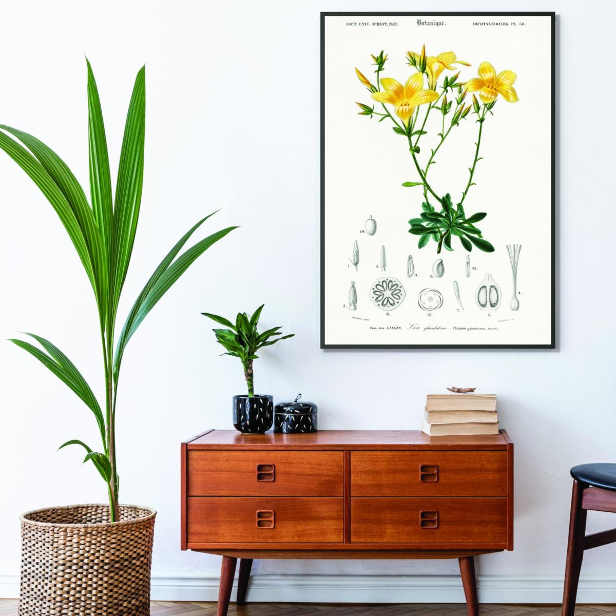 Yellow / Orange Yellow Flax Extra Small Stanley Print House – image 3