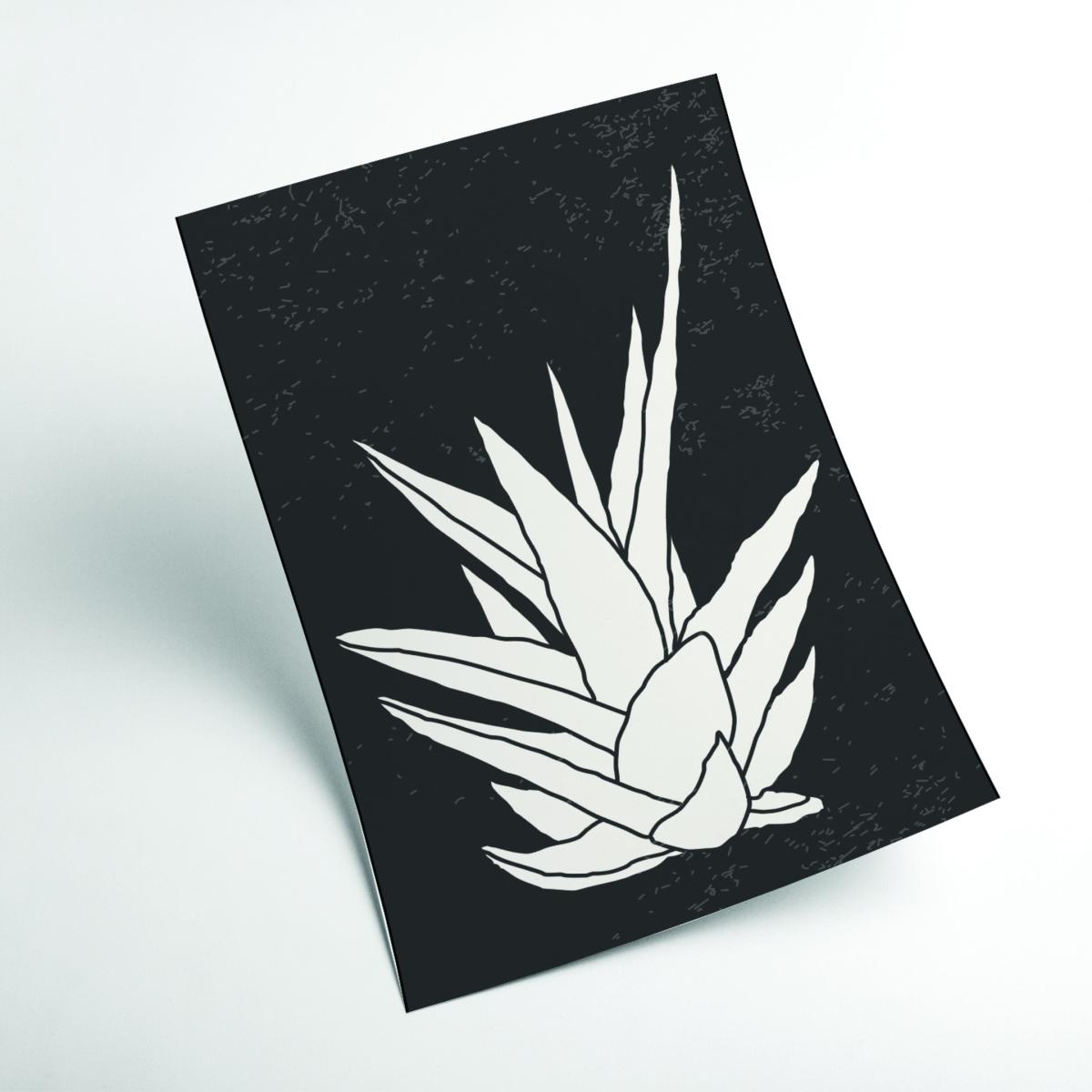 Black Agave #1 A3 297 X 420Mm Stanley Print House – image 2