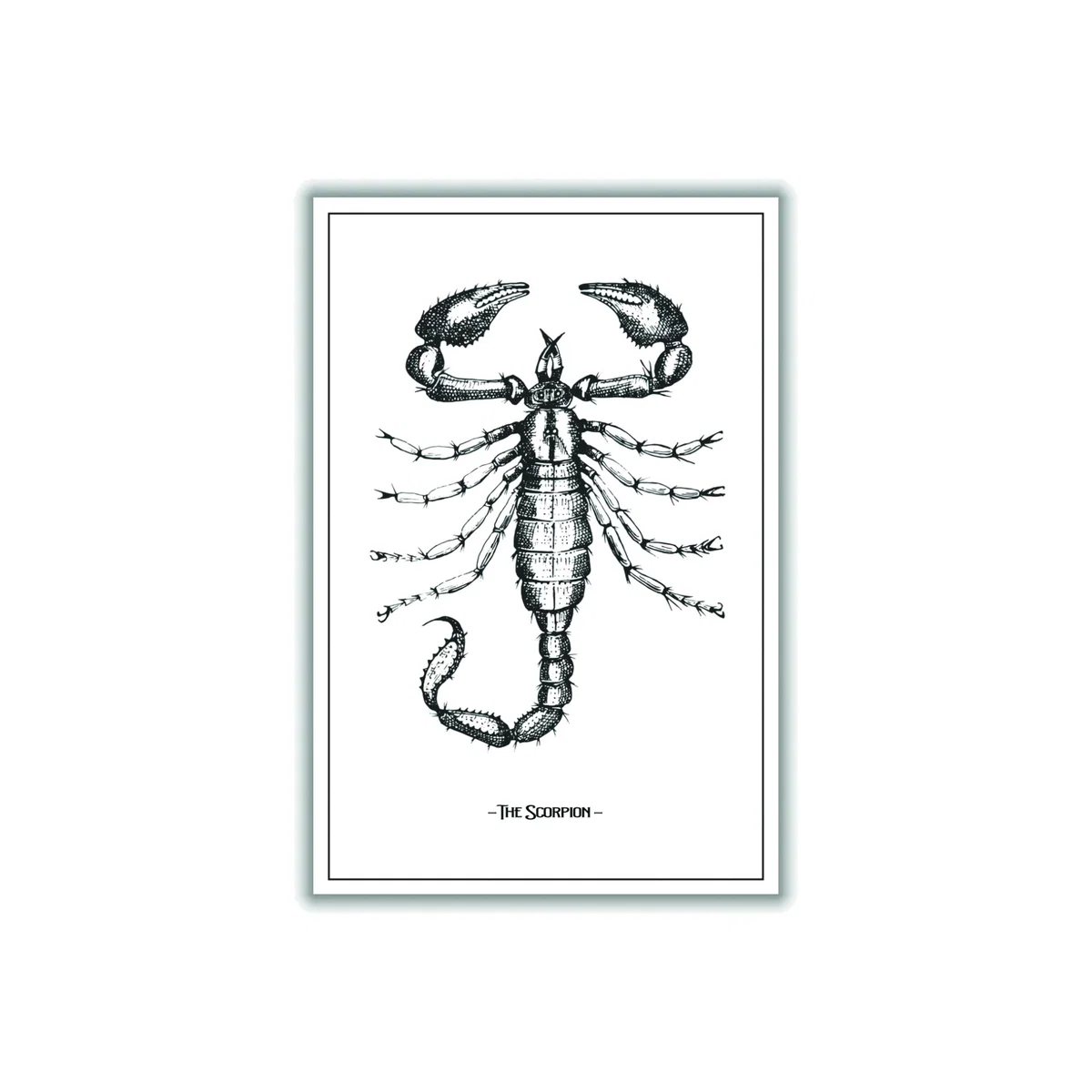 Black The Scorpion Extra Large Stanley Print House – image 1