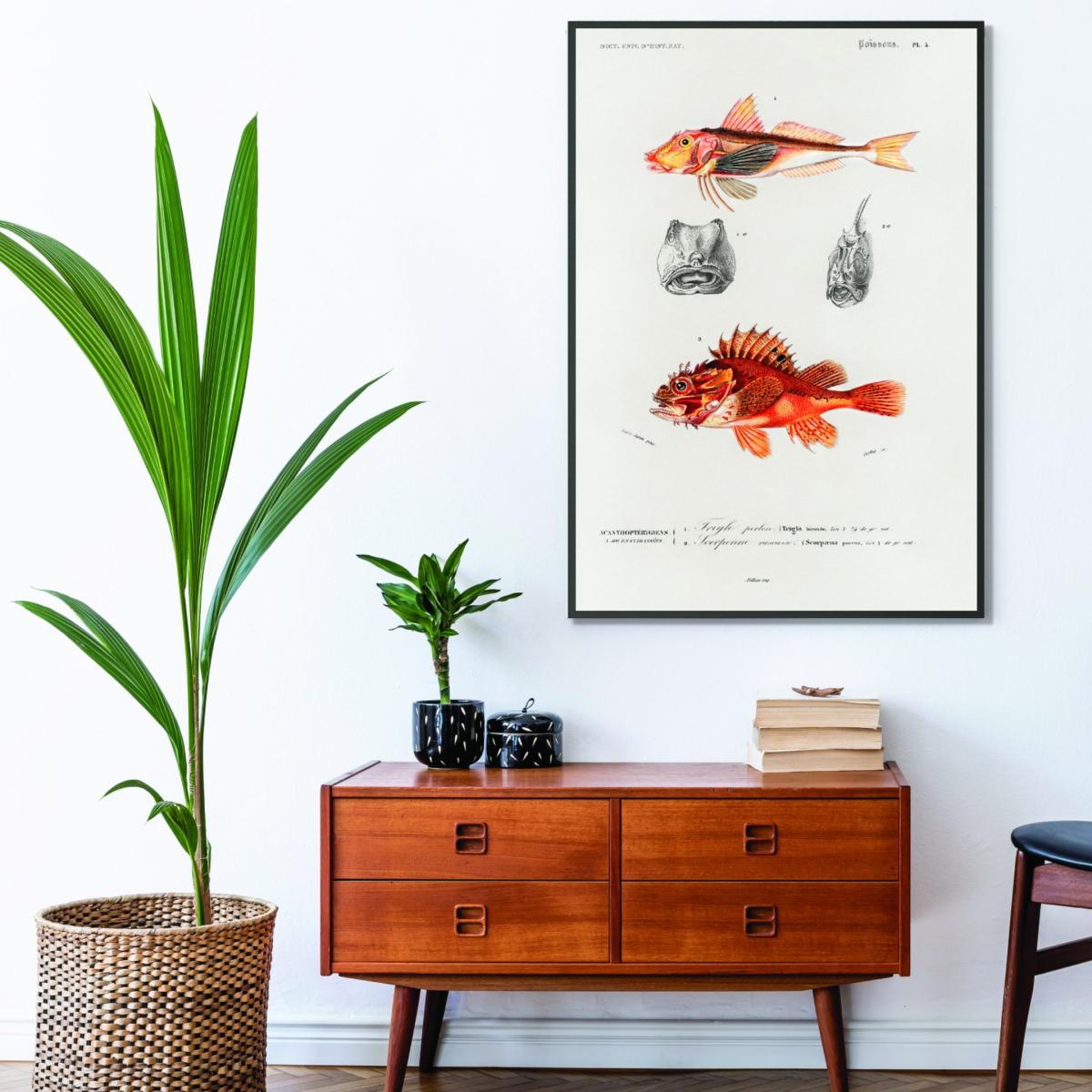 Yellow / Orange Natural History - Different Types Of Fish 3 Medium Stanley Print House – image 3