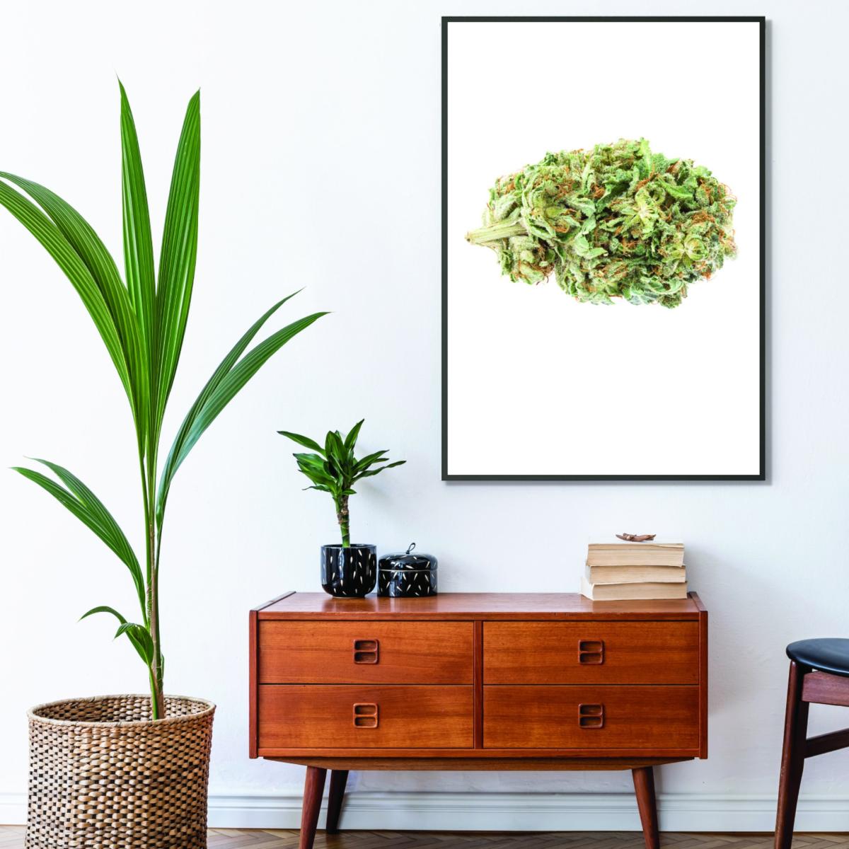 Green Girl Scout Cookies Bud A4 210 X 297Mm Stanley Print House – image 3