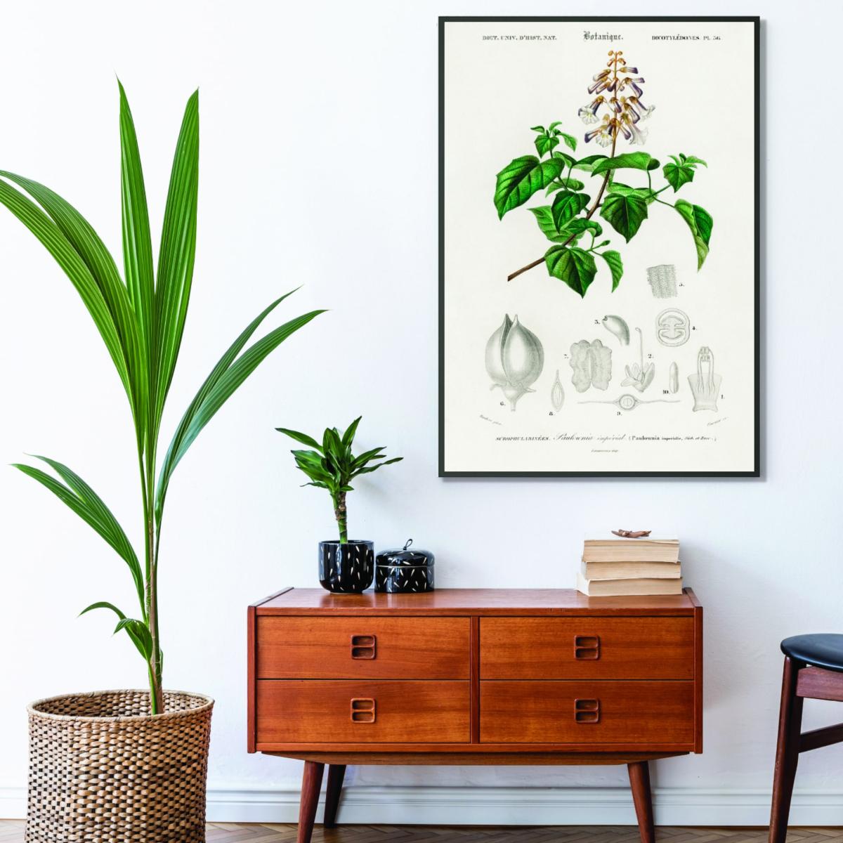 Green Empress Tree Print A3 297 X 420Mm Stanley Print House – image 3