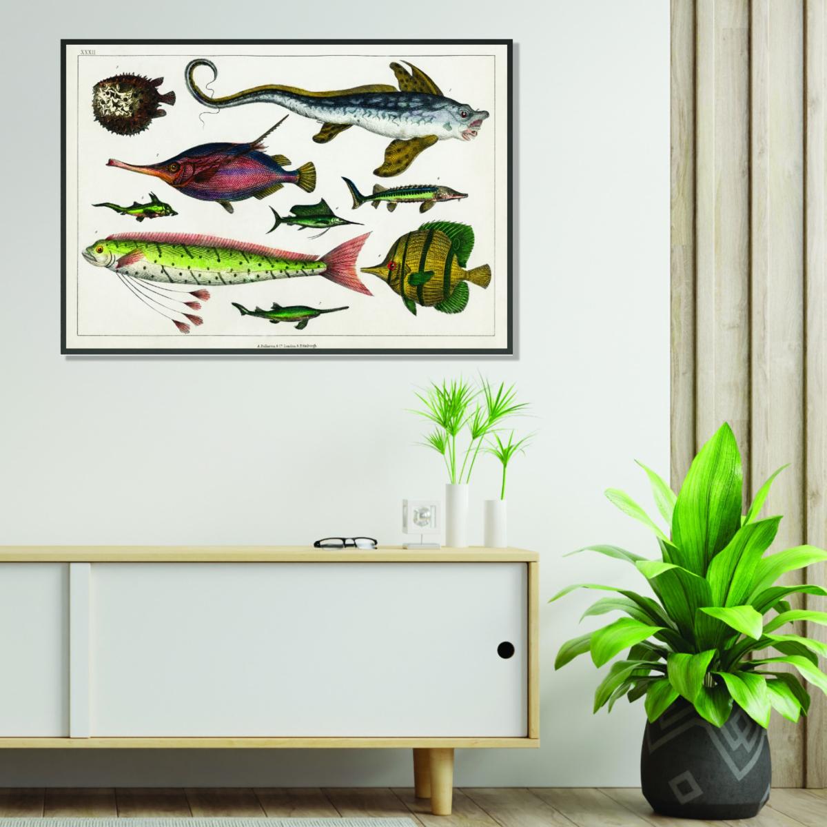 Collection Of Fishes Extra Large Stanley Print House – image 3