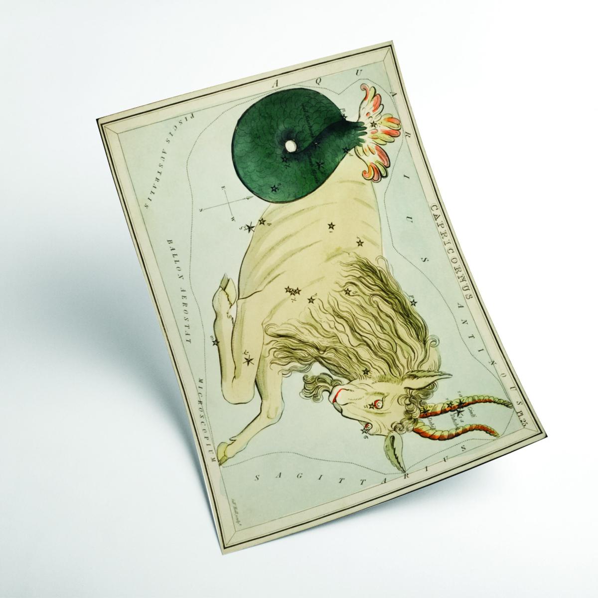 Gold Astronomical Chart Illustration Of The Zodiac Capricornus A2 420 X 594Mm Stanley Print House – image 2