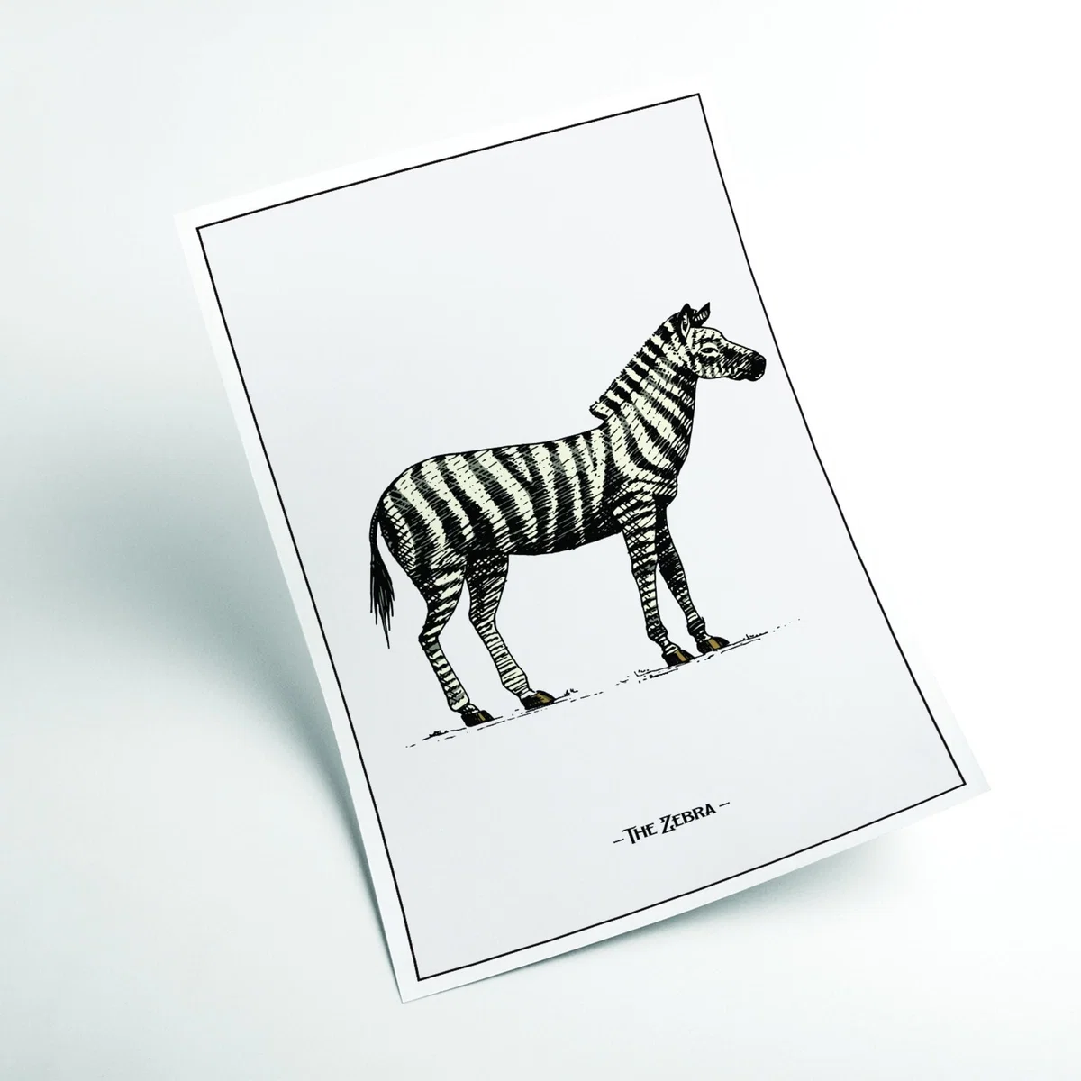 Black The Zebra A4 210 X 297Mm Stanley Print House – image 2