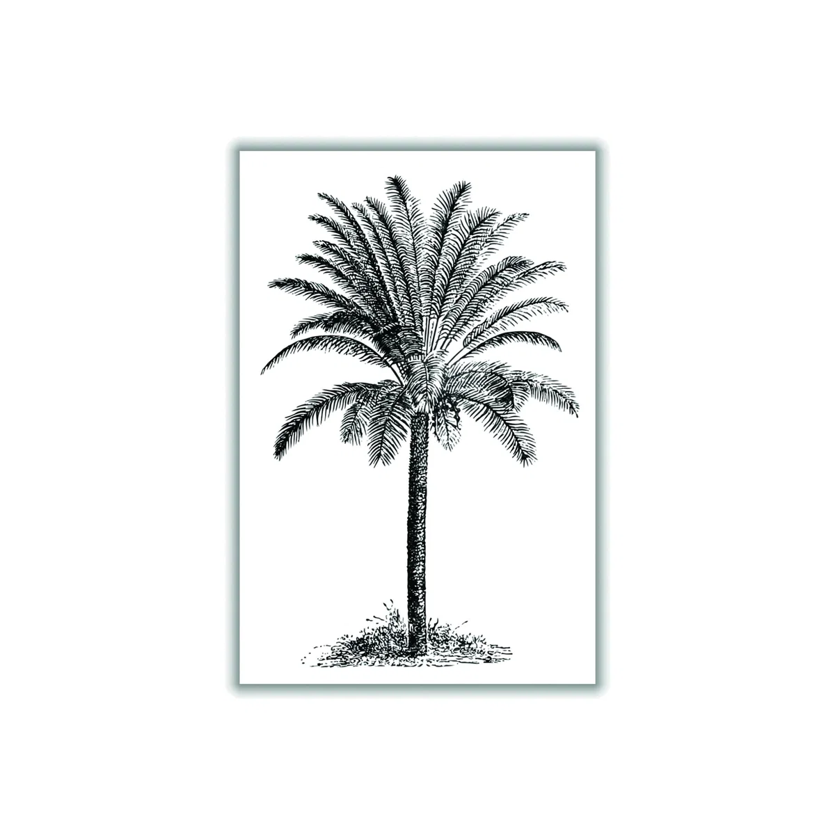 Black Vintage Palm Tree A3 297 X 420Mm Stanley Print House – image 1