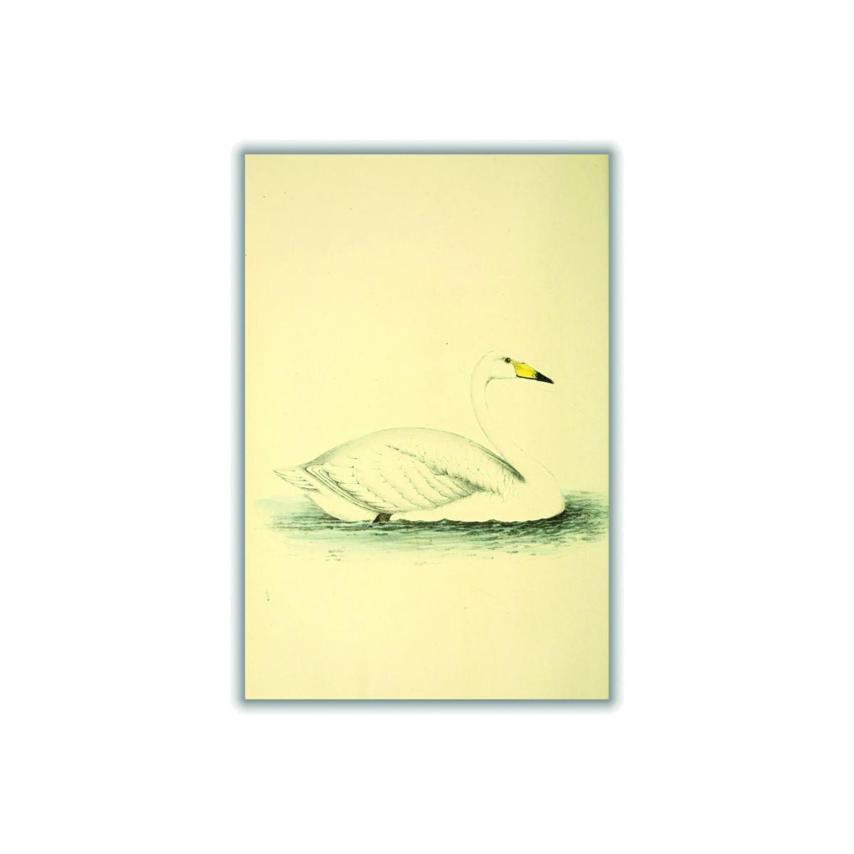 Yellow / Orange Vintage Swan A2 420 X 594Mm Stanley Print House – image 1