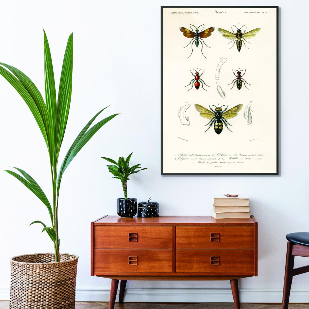 Neutrals Natural History - Different Types Of Insects 4 Medium Stanley Print House – image 3