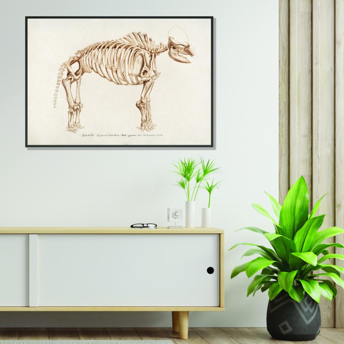 Gold Mammoth Skeleton A1 594 X 841Mm Stanley Print House – image 3