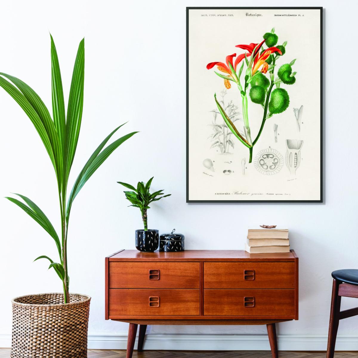 Anna Speciosa Xxs Stanley Print House – image 3