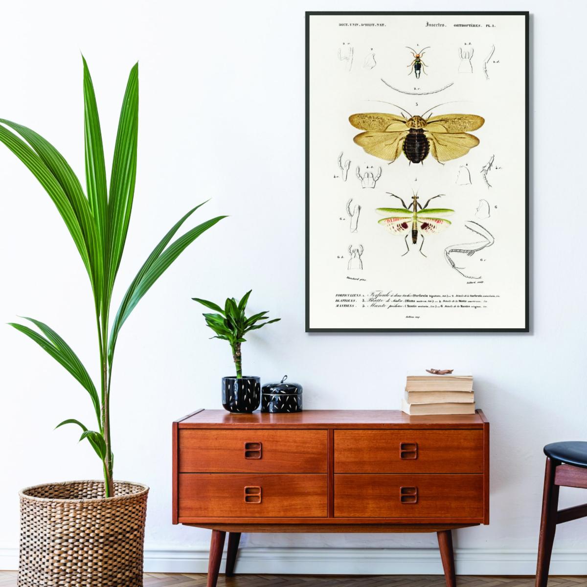 Yellow / Orange Natural History - Different Types Of Insects 5 Small Stanley Print House – image 3