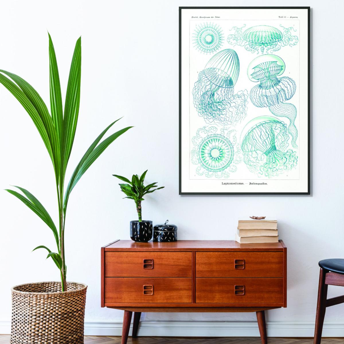 Blue Leptomedusae-Faltenquallen By Ernst Haeckel A4 210 X 297Mm Stanley Print House – image 3