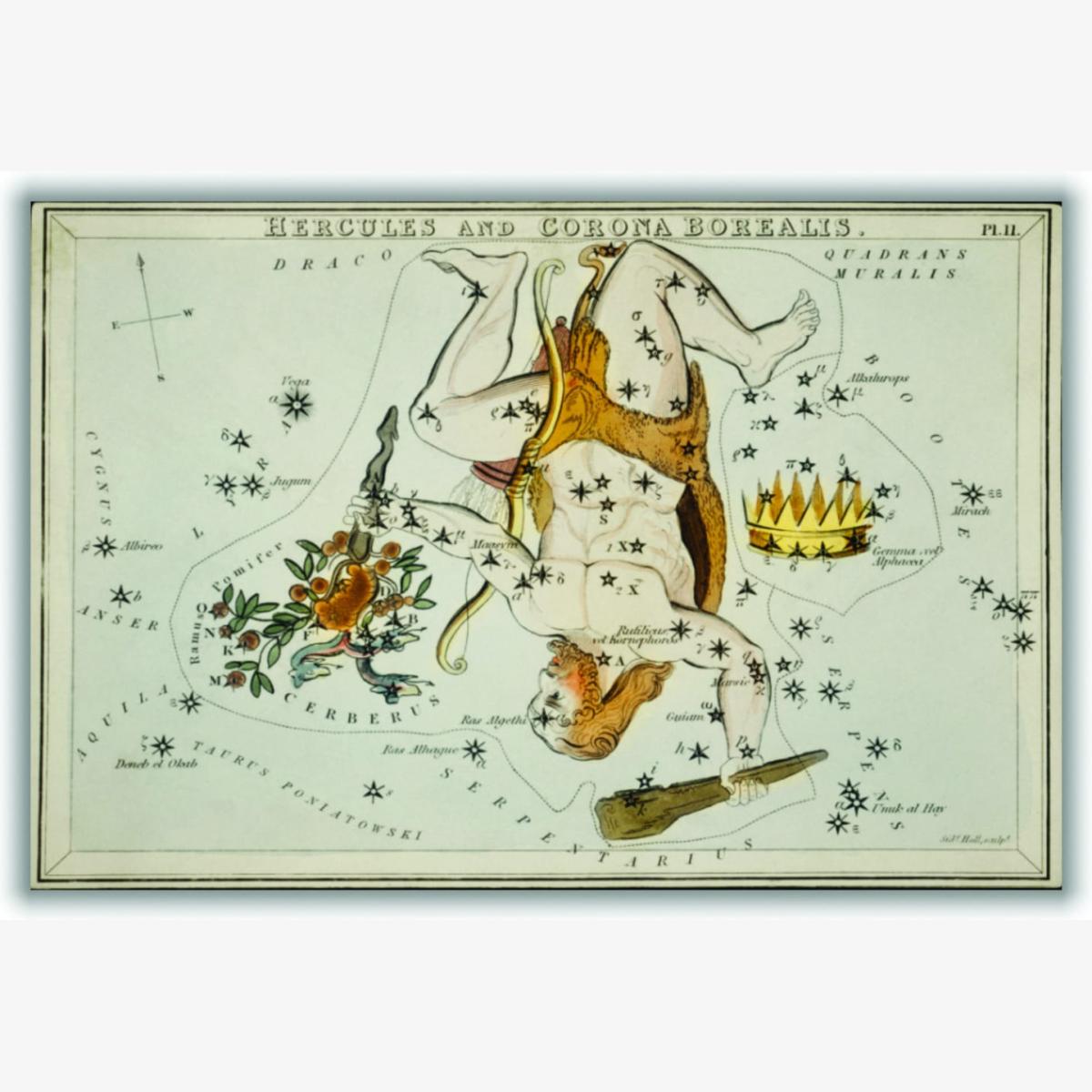 Gold Astronomical Chart Illustration Of The Hercules And The Corona Borealis A1 594 X 841Mm Stanley Print House – image 1