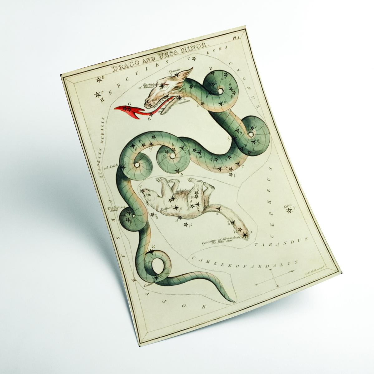 Green Astronomical Chart Illustration Of The Draco & The Ursa Minor Medium Stanley Print House – image 2