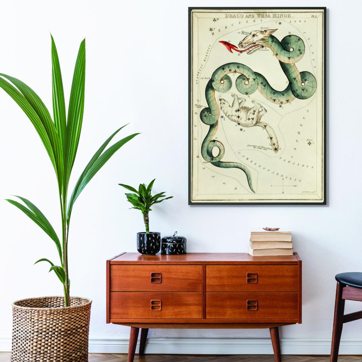 Green Astronomical Chart Illustration Of The Draco & The Ursa Minor Medium Stanley Print House – image 3