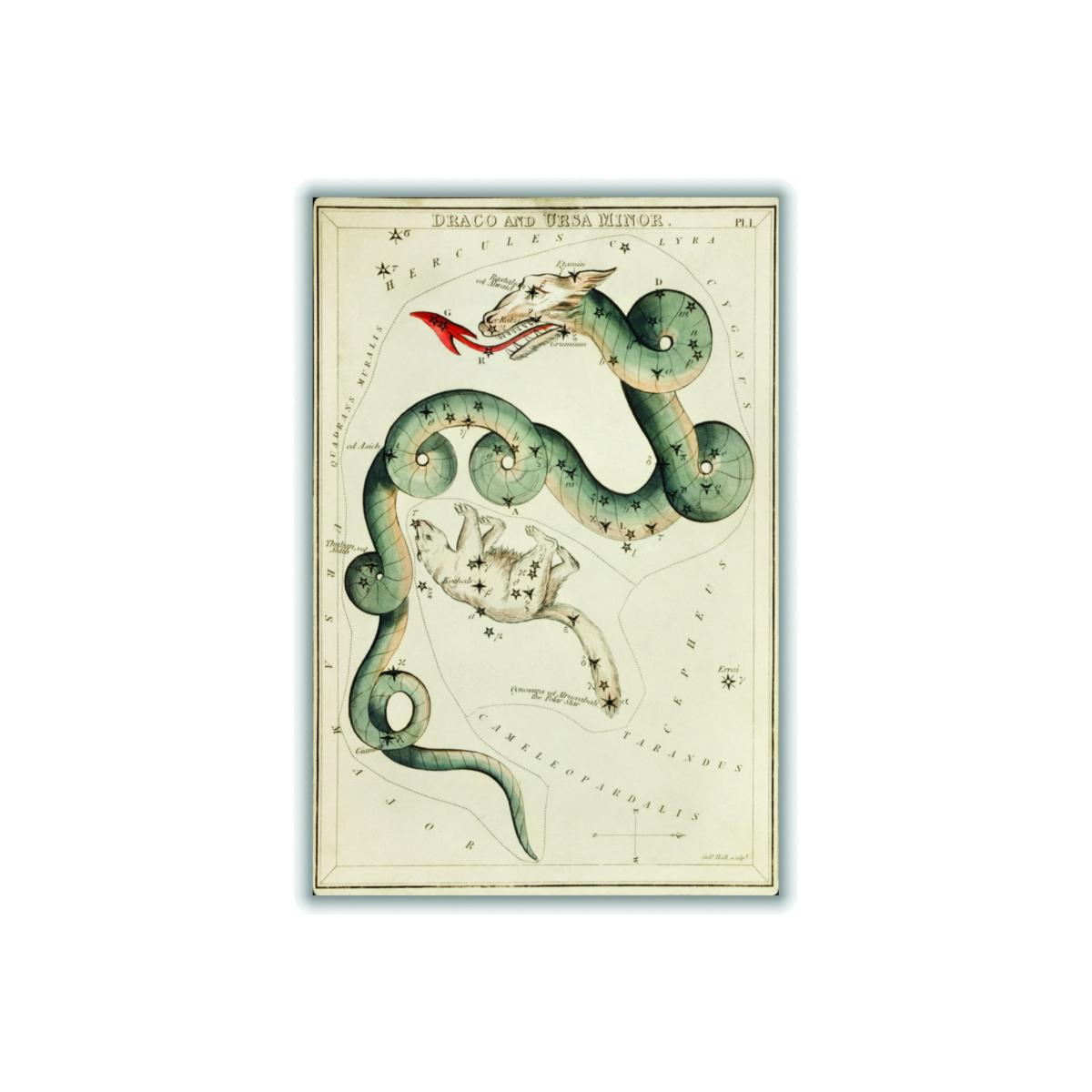 Green Astronomical Chart Illustration Of The Draco & The Ursa Minor Medium Stanley Print House – image 1