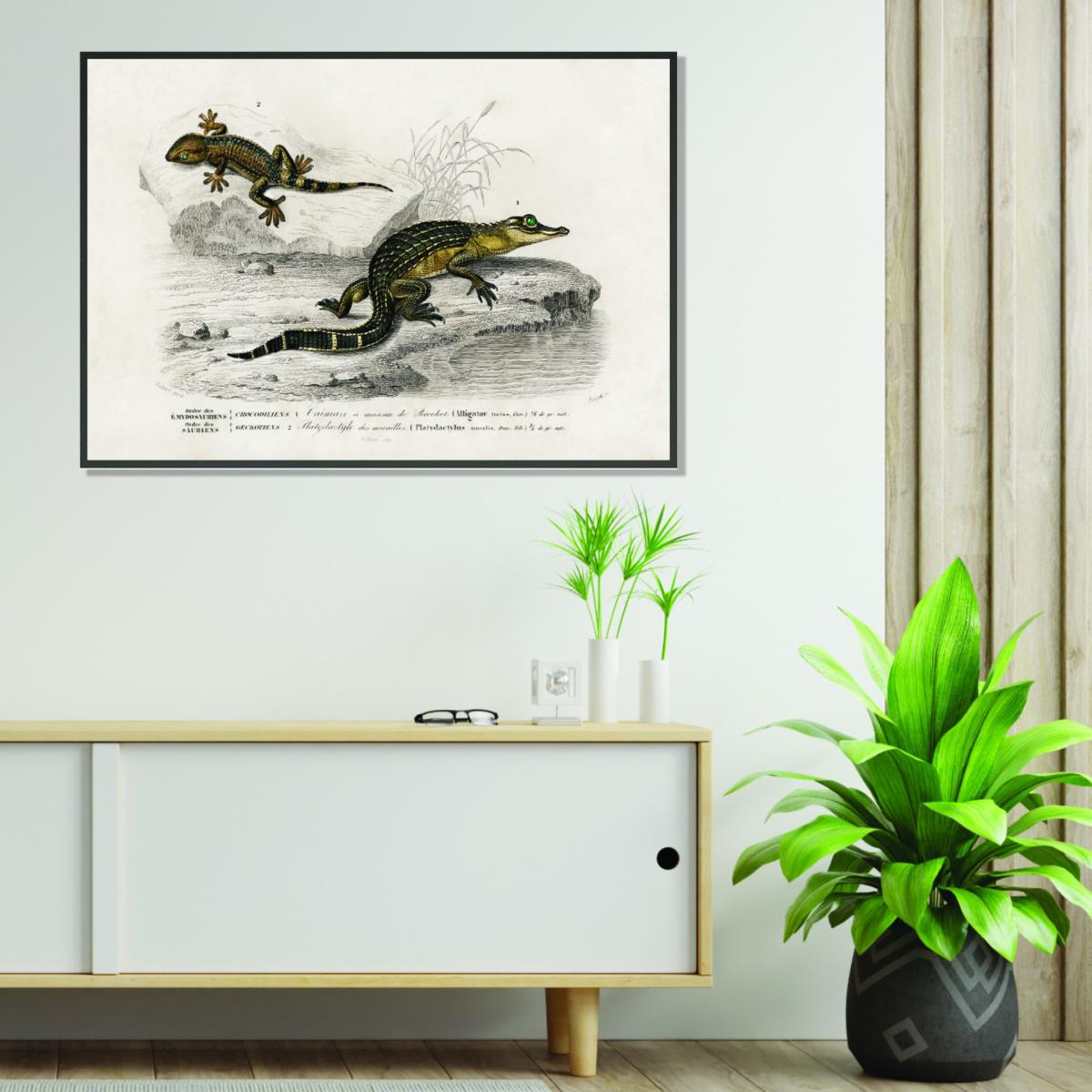 Green Alligator And Lilford Swall Lizard A4 210 X 297Mm Stanley Print House – image 3