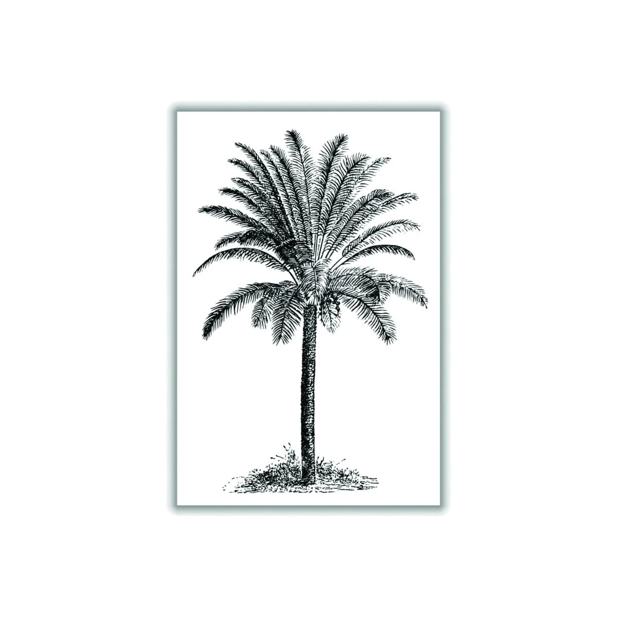 Black Vintage Palm Tree A2 420 X 594Mm Stanley Print House – image 1