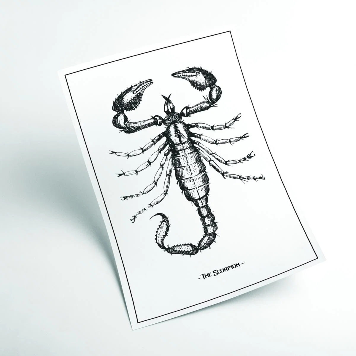 Black The Scorpion A3 297 X 420Mm Stanley Print House – image 2