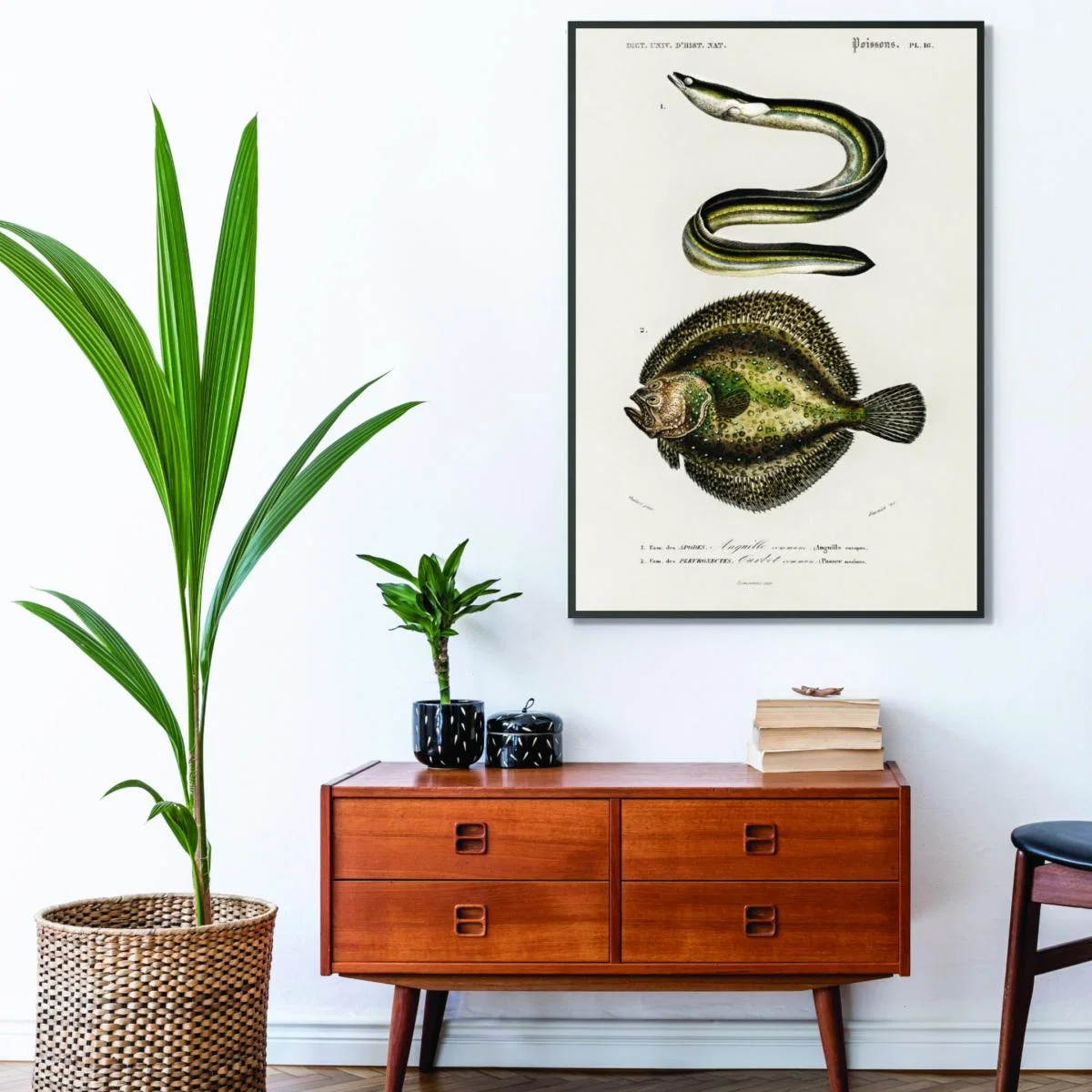 Green Natural History - Different Types Of Fish 6 Medium Stanley Print House – image 3