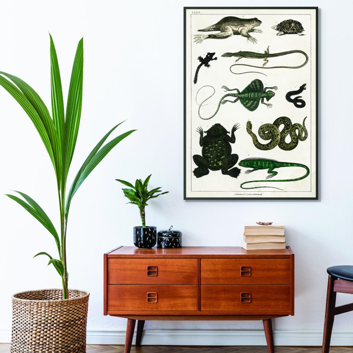Black Collection Of Reptiles Print Large Stanley Print House – image 3