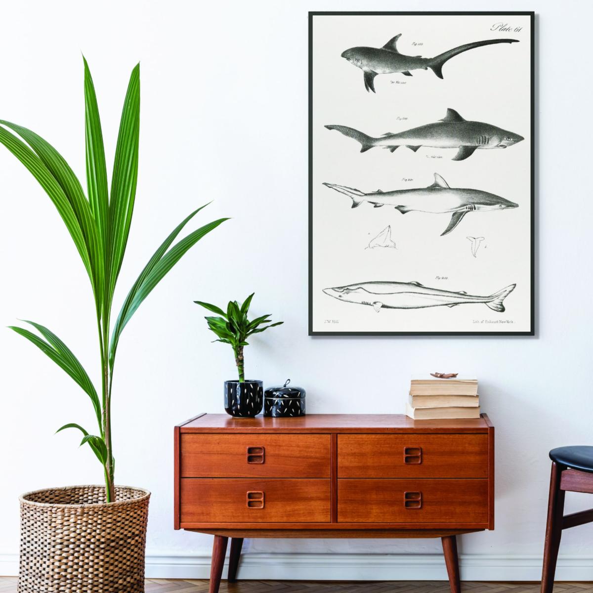 Grey Various Sharks A1 594 X 841Mm Stanley Print House – image 3