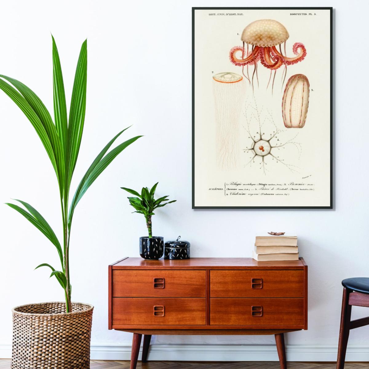 Yellow / Orange Natural History - Different Types Of Marine Life 2 A1 594 X 841Mm Stanley Print House – image 3