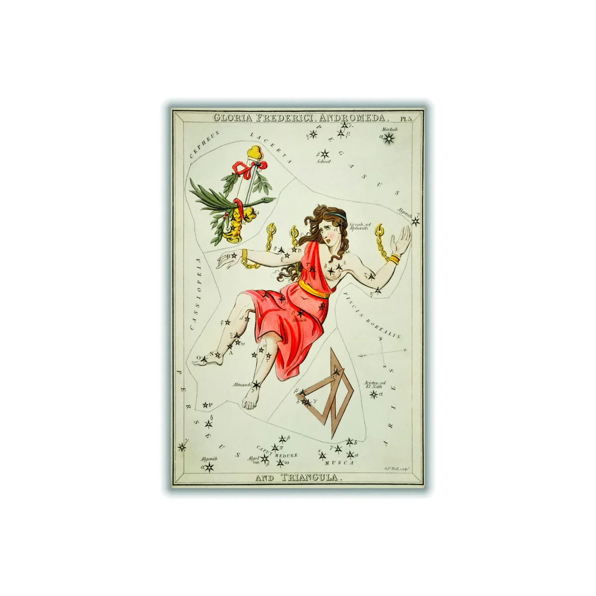Yellow / Orange Astronomical Chart Illustration Of Gloria Frederici Andromeda A3 297 X 420Mm Stanley Print House – image 1
