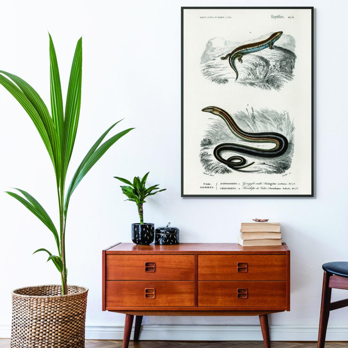Grey Salamander & Snake A1 594 X 841Mm Stanley Print House – image 3